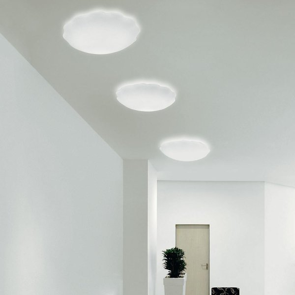 Carpyen Boop Wall Ceiling Light By Ylighting Dwell Nubia Wall Ceiling Light By Leucos Lighting