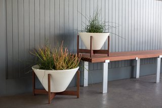 Case Study® Apex w/ Wood Stand 