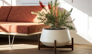 Case Study® Diamond w/ Wood Stand