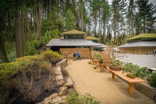 While the existing Garden has remained intact and unchanged, the Cultural Village expansion introduces three new gardens designed to demonstrate a wider array of Japanese garden styles and techniques. These include an entry garden with cascading ponds and a water terrace, Tsubo-niwa in the Tateuchi Courtyard, and the Ellie M. Hill Bonsai Terrace. The Bill de Weese chabana garden will grow flowers for its tea ceremony—the first of its kind in North America.