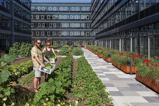 Residents will be able to harvest their own crops under the direction of a "farmer-in-residence."