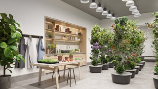 Along with art and music recording studios, Waterline Square will offer residents an indoor gardening studio—in addition to its outdoor version.