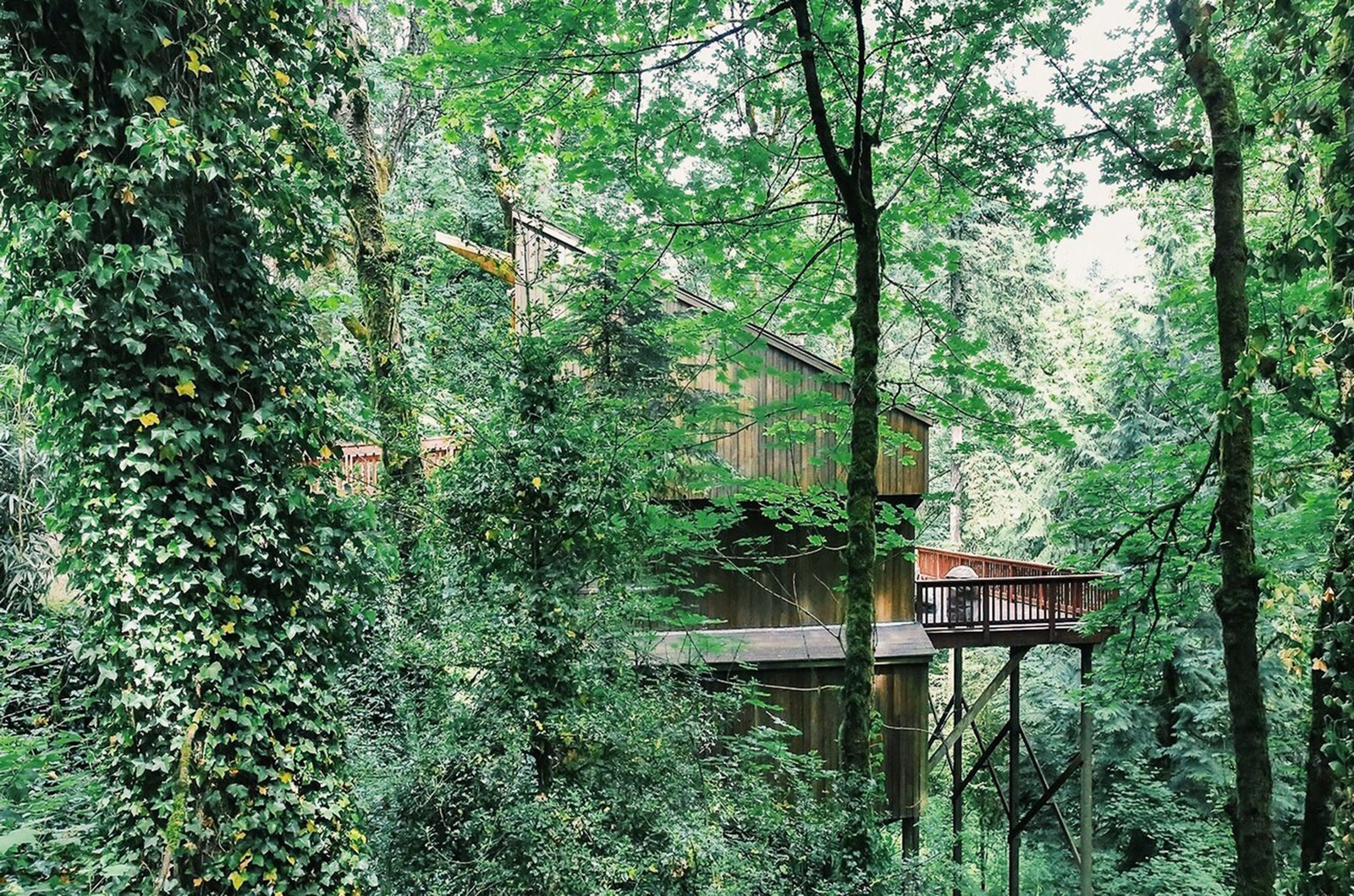 Photo 14 of 15 in This Tree House For Rent Near Downtown Portland