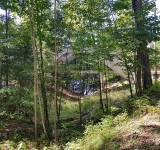A Unique Home in the Canadian Forest That Doubles As a Bridge - Photo 10 of 11 -