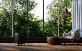 Instantly Make Your Home Healthier With Airmega - Photo 2 of 9 - Fresh air is important and 90 percent of the air that goes in your lungs is indoor air. Airmega makes sure that the indoor air you breathe is as clean as it can be. 