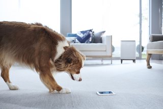 Instantly Make Your Home Healthier With Airmega - Photo 3 of 9 - Airmega’s Dual HEPA filters trap up to 99.97 percent of particles to make sure you are not breathing in anything you shouldn’t be. 