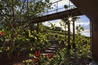 A Breezy Hawaiian Residence by Olson Kundig Hits the Market at $6.95M - Photo 13 of 14 - Kukui’ula features an Upcountry Farm, a 50-acre community farm equipped with a staff of farmers who help residents and guests of the property harvest seasonal fruits and vegetables on site. Kukui’ula gives guests and homeowners the opportunity to explore the sacred Hawaiian culinary traditions of living off the land.
