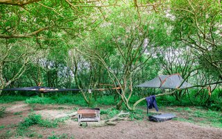 Go Off The Grid With These Remote Rental Cabins in Cornwall - Photo 10 of 12 - Tentsile tents are another option for an above-ground experience. 