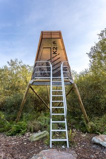Go Off The Grid With These Remote Rental Cabins in Cornwall - Photo 3 of 12 - From their elevated position amongst the trees, these tiny cabins offer a unique perspective on the Cornish landscape. 