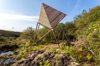 Go Off The Grid With These Remote Rental Cabins in Cornwall - Photo 2 of 12 - A larch slatted skin covers the cabin that is elevated above the ground on turned pine poles.