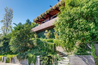 The back of the house features impressive outdoor spaces and a living roof succulent garden. 