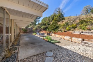 A look at the backyard.