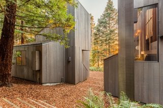 Turnbull preserved the natural hillside by designing the levels of interior spaces to coincide with the slope. A vertical terrace between the two buildings affords both the private courtyard and stairway with views of the sea and the forest. 