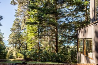The stunning property enjoys ocean and forest views.