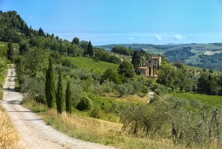 You Can Own Michelangelo’s Former Tuscan Villa For $9.3M - Photo 11 of 11 - The property comes with six acres planted with cypress and olive trees.