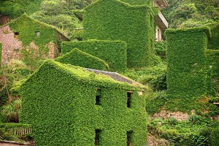 Covered in vibrant greenery, the abandoned structures are a captivating blend of built and natural environments.