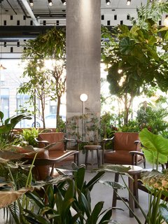 The cafe's central lounge area houses the lush indoor garden. 