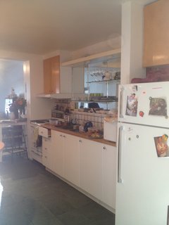 Here is a look at the kitchen before the renovation.