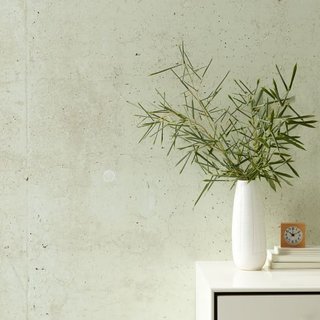 Here is a look at the Wilshire Mural Removable Wallpaper in Bisque. 