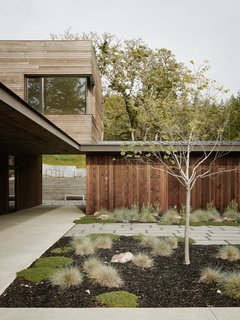 The home is clad in Alaskan yellow cedar—a durable, low-maintenance wood that weathers over time to turn a light gray—in order to blend in with the gray bark of the oaks. The vertical siding on the one-story volume takes on the visual rhythm of the surrounding trees and grasses. 