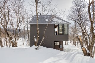 Rather than create a typical two-story home, the architects have designed a multi-layered space with a series of platforms. 