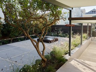 With assistance from landscape designer Monica Viarengo, the outdoor space has been designed to draw the excitement of the city in toward the home.