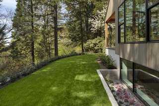 An exterior shot of the atrium with the succulents. 
