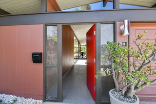 The original owner collected Jade plants which are currently spread out throughout the property. This giant one sits adjacent to the bright red front door.