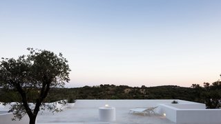 The expansive rooftop terrace features stunning views of the surrounding nature reserve. 