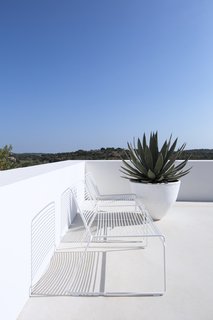 The owners encourage native plant growth by consulting with Sigmetum, a team of botanical architects based in Lisbon. 