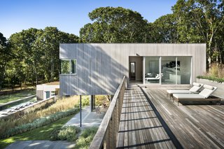 The roof deck forms a connector between the two cedar-clad volumes, while also providing additional outdoor space. 