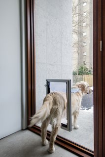 A close-up of the dog-door leading out to the backyard. 