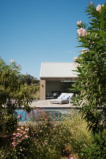 A peek at the sparkling pool. 