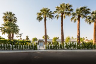 The home sits on a 16,000-square-foot lot which has been beautifully landscaped with rows of cacti and palm trees. 