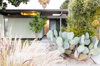 The home has been professionally landscaped with native drought-resistant plants. 