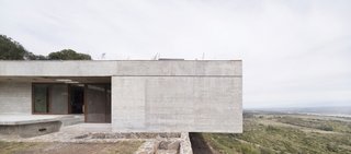Casa FM's flat profile provides a natural home for a living roof. 