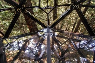 The floor panels are transparent, providing the feeling of total immersion in the forest. 