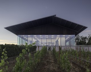 The new tasting room is positioned to feel as if it is hovering above and within the vineyard. Open on all sides, it offers panoramic views of the surrounding hills.