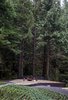 Patio Photo 14 of Cypress Falls modern home