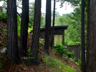 The green-roofed studio was reinforced to support the weight of wet soils.