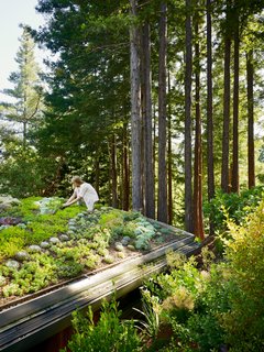The accessible green roof on the yoga studio provides additional landscape for gardening. 