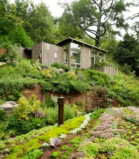 Spruce and pine cladding echo the verticality of the tree trunks surrounding the cabins. 