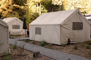 At AutoCamp, Sleep in a Slice of Americana for $225 a Night - Photo 9 of 10 - Local landscape design firm Hart Horticulture created an environment of native plants in just one month.