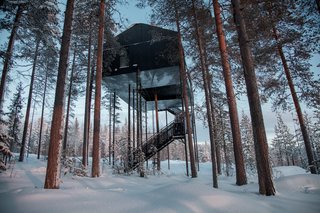 To reduce the load of the trees and minimize the building's impact on the forest, 12 columns support the cabin. One tree stretches up through the net, emphasizing the connection to the outdoors.