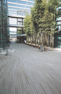 Stepstone developed the Narrow Modular Pavers with landscape architect Peter Walker, who requested them for the Stanford University campus. After adjusting the production process to accommodate the new shape, McWilliams was "amazed at how well the pavers fit into the design of the buildings." 