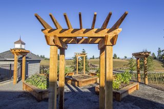Mon Coeur—or "My Heart"—is a Hamptons-style dwelling with an emphasis on the outdoors. Humboldt Redwood arbors and planter gardens create a fruitful garden.