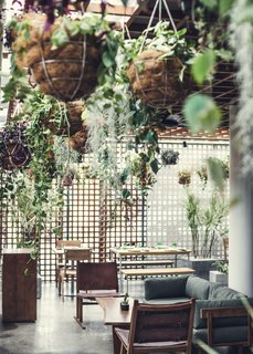 Hanging plants create an atrium atmosphere in Eat & Drink, which is open for service all day.