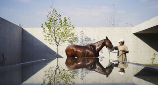 Celebrated Polo Player Nacho Figueras Commissions a Low-Slung, Concrete Stable - Photo 4 of 11 -