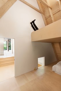 FAHouse: A Double Triangular House in the Forest - Photo 16 of 22 -