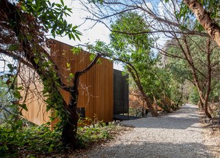 Unplug and Blend in at the Vivood Landscape Hotel - Photo 5 of 14 -